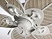 kathy ireland HOME Batalie Breeze Outdoor Ceiling Fan, 52 Inch | Large Metal Fixture with Palm Leaf Blades, Quiet Motor, and Pull Chain | Tropical Style for Outside and Indoor Home Decor, White