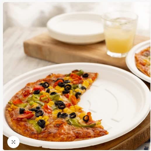 ECOWARE 100% Natural, Biodegradable, Compostable, Ecofriendly, Bagasse, Safe & Hygienic Disposable 12 inch, 304mm, 30cm Round Plate (50)