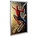 SnapeZo Silver Movie Poster Frame 27x40 Inches, 1.25 Inch Aluminum Profile, Round-Cornered, Front-Loading Snap Frame, Wall Mounting, Professional Series for One Sheet Movie Posters