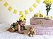 Cute Baby Infant Girls One Piece Clothes Romper Halter Backless Pear Printed Floral Bodysuit Ruffle Jumpsuit Outfits (6-12 Months)