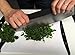 Premium Pizza Cutter by Checkered Chef - Rocker Blade With Protective Cover/Case/Holder/Sheath. Heavy Duty Stainless Steel with Premium Comfort Grip Handle. Dishwasher Safe.