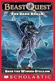 Beast Quest #14: The Dark Realm: Skor the Winged Stallion