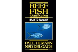 Reef Fish Identification: Baja to Panama