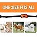 MONTAUR Dog Bark Collar - no Shock Vibration and Sound Stop Barking Collar for Dogs - 7 Level Sensitivities Anti Bark Collar - Humane Dog Barking Control Collar - 100% Waterproof no Bark Collar