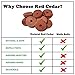 Cedar Naturals Aromatic Cedar Blocks for Clothes Storage | 100% Natural Red Cedar Wood Rings for Closet Organizers and Storage Drawers | Kitchen Storage & Hangers [30 Pack]