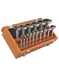 Juego de broca Forstner Steelex D3573 con mango hexagonal, 16 piezas