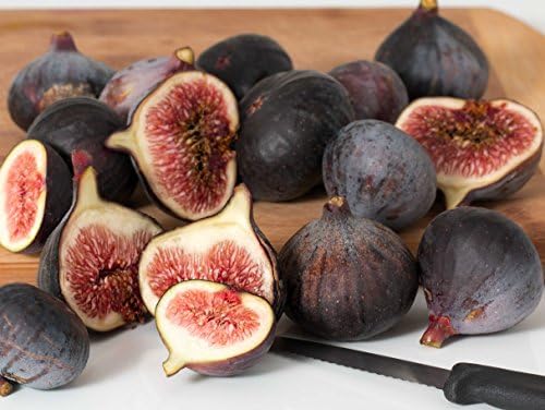VERO PUZZLE 49197 Food Fig, 500 pieces in high quality, cellophaned puzzle box