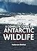 A Complete Guide to Antarctic Wildlife by