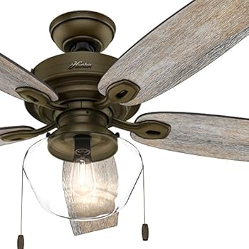 Hunter Fan 52 inch Outdoor Ceiling Fan includes LED Globe ...