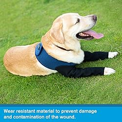 Coodeo Dog Recovery Sleeves, Cone Collar