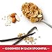 Kellogg's Special K, Breakfast Cereal, Vanilla and Almond, Made with Real Almonds, Family Size, 18.8oz Box
