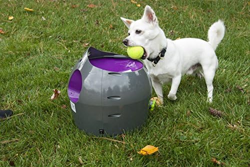 electronic dog ball launcher