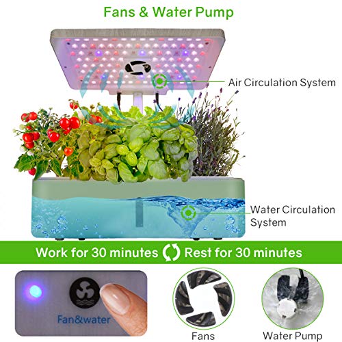 moistenland Indoor Hydroponic Garden, Hydroponics Growing System