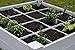 Vita Gardens 4×4 Garden Bed with Grow Grid, Packaging may varythumb 2