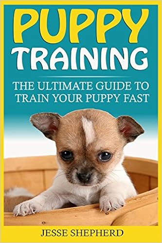 positive reinforcement potty training dog