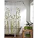 Maytex Bamboo Photo Real PEVA Vinyl Shower Curtain, 70X72