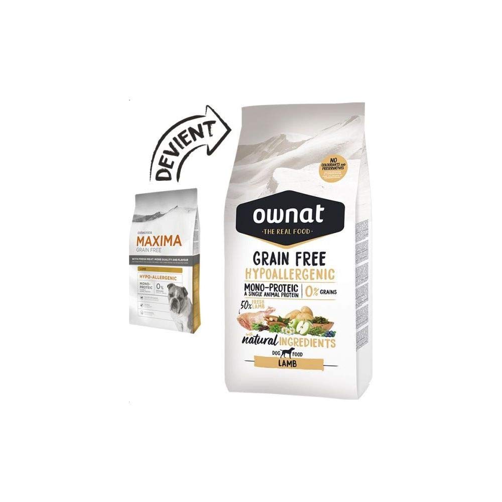 Maxima Dry Dog Food Hypo Allergenic Lamb 1 14 kg Bag Amazon.co.uk