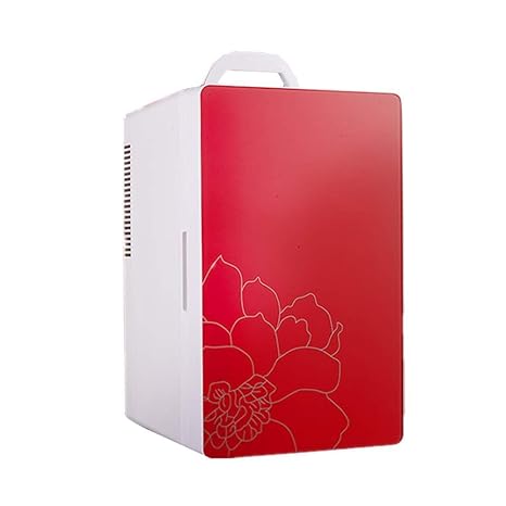 WJSW Refrigerador eléctrico 16L Refrigeradores para Autos ...