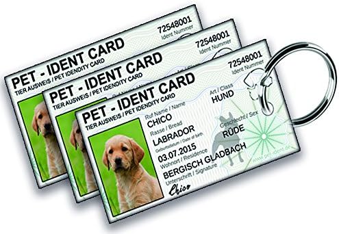 pet ident card 3er set tierausweis amazon de haustier