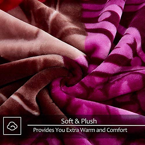 JYK Heavy Korean Faux Mink Fleece Blanket, 5 LB 2 Ply Reversible