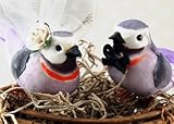 Love Nest Love Bird Cake Topper: "Bride and