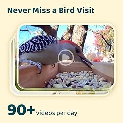 NETVUE Birdfy - Upgraded Samrt Bird Feeder Camera