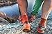 Merino Wool Light Hiking Socks (Multicolor 3-pairs (2 x Green, 1 x Yellow), US Women 8-10 / US Men 6.5-8.5)