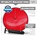 NDN LINE Inflated Air Stability Wobble Cushion/Exercise Fitness Core Balance Disc (35cm/14in Diameter) (Red)