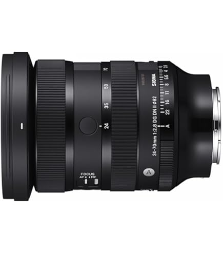 シグマ 24-70mm F2.8 DG DN II Sony ソニー Eマウント 24-70mm F2.8 DGDN II for Sony E : Amazon.ca: Electronics