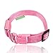 ILLUMISEEN LED Dog Collar USB Rechargeable - Bright & High Visibility Lighted Glow Collar for Pet Night Walking - Weatherproof, in 6 Colors & 6 Sizes (Pink X-Small)