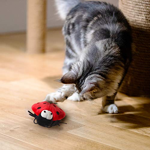 Gigwi Chirpy Beetle Sound Cat Toy, Interactive Squeaking Beetle Cat Toys Melody Chaser Play N Squeak Kitten Toy for Boredom