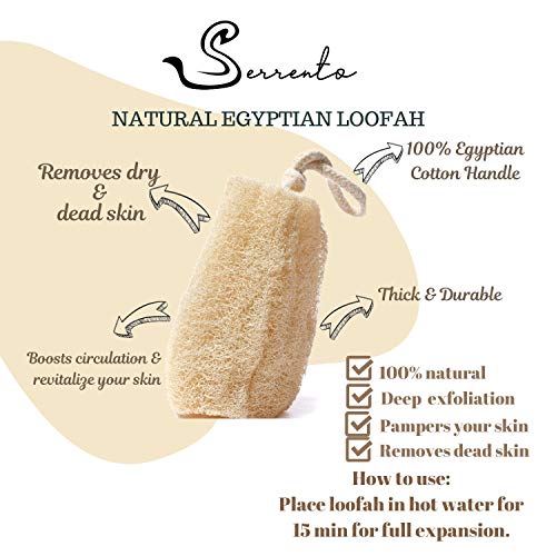 All Natural Loofah Sponge, Set of 3 Real Egyptian Bath & Shower