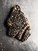 Mast Brothers Chocolate: A Family Cookbook