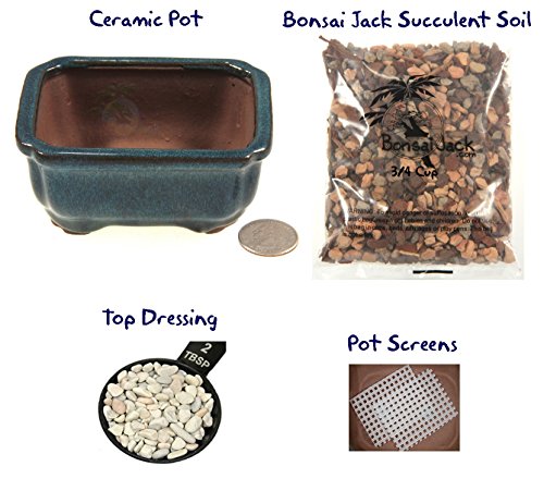 Succulent Potting Kit(4 inch). Ceramic Bonsai Clay Pot, Soil, Screens and Top Dressing. 16 Pot Colors