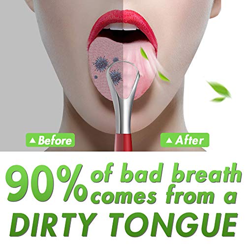 HANSGO Tongue Scraper Cleaner, 3PCS Stainless Steel Fresh Breath Tongue Scraper Metal Tongue Scraping Cleaner