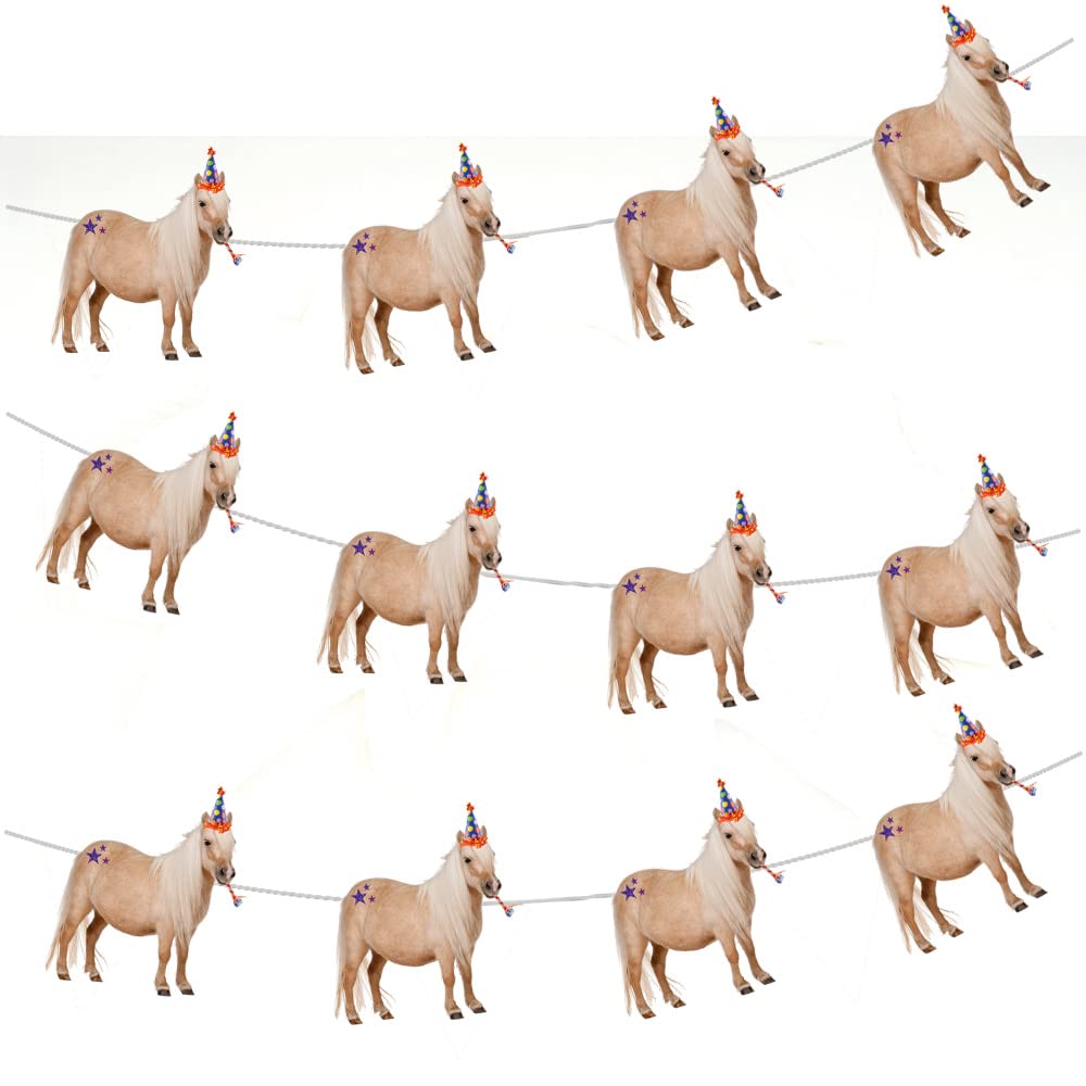 AK Giftshop Pony Horse Bunting Party Decorations - 12pcs / 2.5m Ribbon Multicolor