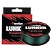 Piscifun Lunker Braided Fishing Line Green 12lb 547yards