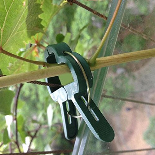 Cozyswan - 20 Clips de Flor para Soporte de Palanca, cortaúñas ...