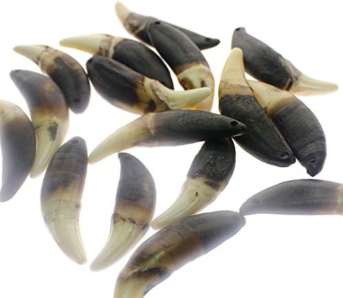 ZONGAO 6 pcs Black Wolf Tooth Pendant wholesale Necklace Jewelry accessories (4cm long,1.2cm wide)