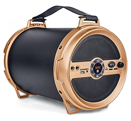 iball musi barrel bt31 bluetooth speaker