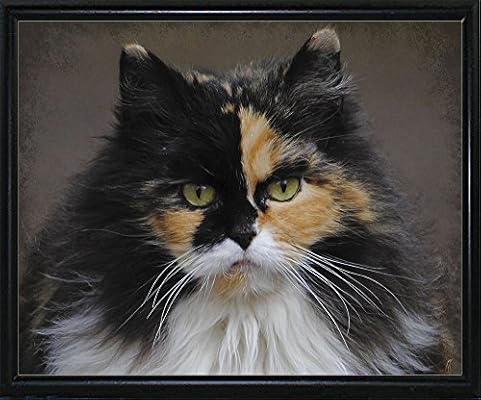 Frame Usa Calico Cat Portrait Jaijoh139710 10 75 X13 25 By Jai