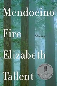 Mendocino Fire by Elizabeth Tallent