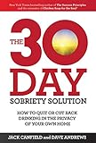 Image de The 30-Day Sobriety Solution