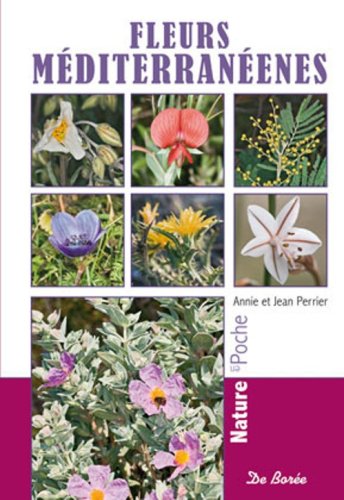 Fleurs méditerranéennes