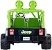 Power Wheels Teenage Mutant Ninja Turtle Jeep Wrangler
