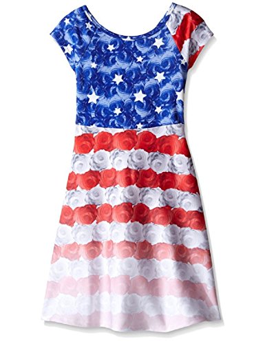 Bonnie Jean Big Girls Red White Blue Colorblock Americana 4th July Dress (6X, Blue)