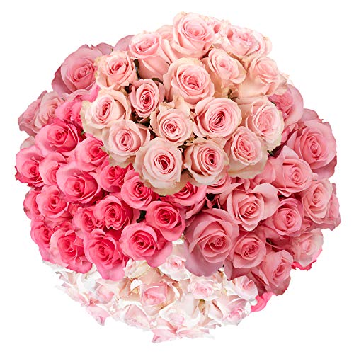 GlobalRose 100 Pink Roses Express Delivery Wholesale Flowers by Monday November 9 Pricepulse