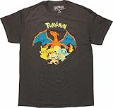 Pokemon Charizard Group Mens Tee Shirt (Large, 42/44)