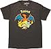 Pokemon Charizard Group Mens Tee Shirt (Large, 42/44)