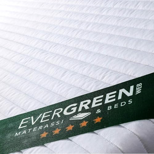 EVERGREENWEB – Single Mattress 80 x 200 cm High 22 cm Orthopaedic Memory Foam and Waterfoam Massage Effect + Memory Foam Pillow, Removable White Lining, Ideal for Bed Bases and Beds